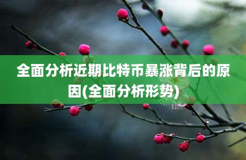 全面分析近期比特币暴涨背后的原因(全面分析形势)