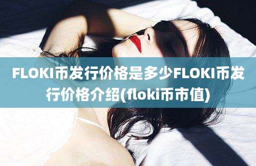 FLOKI币发行价格是多少FLOKI币发行价格介绍(floki币市值)