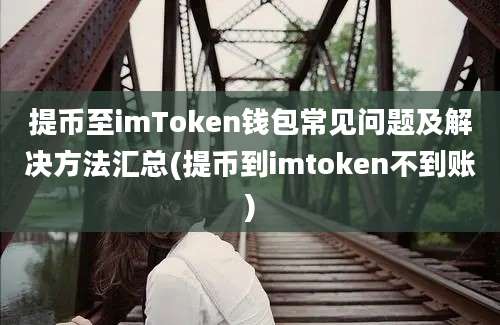 提币至imToken钱包常见问题及解决方法汇总(提币到imtoken不到账)