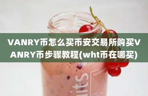 VANRY币怎么买币安交易所购买VANRY币步骤教程(wht币在哪买)