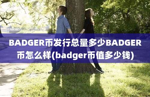 BADGER币发行总量多少BADGER币怎么样(badger币值多少钱)