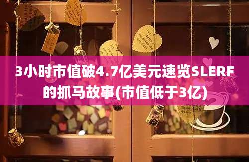 3小时市值破4.7亿美元速览SLERF的抓马故事(市值低于3亿)