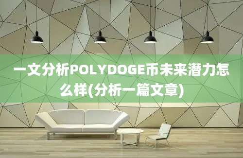 一文分析POLYDOGE币未来潜力怎么样(分析一篇文章)