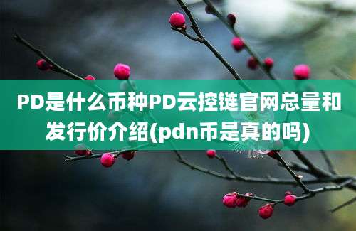 PD是什么币种PD云控链官网总量和发行价介绍(pdn币是真的吗)