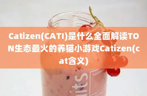 Catizen(CATI)是什么全面解读TON生态最火的养猫小游戏Catizen(cat含义)