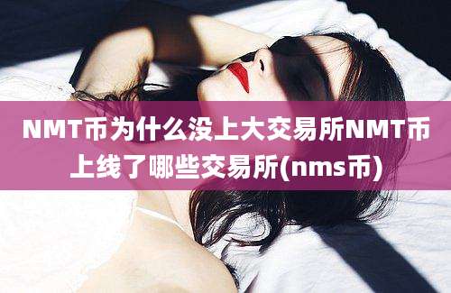 NMT币为什么没上大交易所NMT币上线了哪些交易所(nms币)