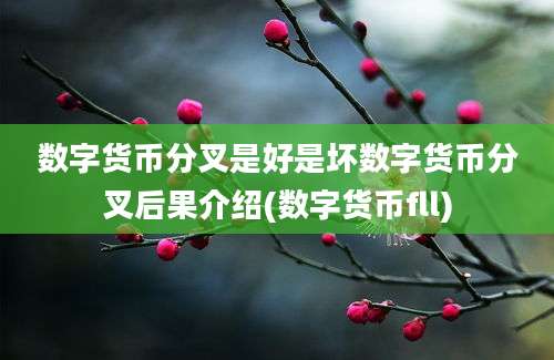 数字货币分叉是好是坏数字货币分叉后果介绍(数字货币fll)