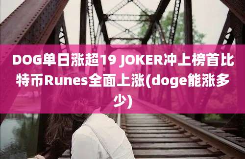 DOG单日涨超19 JOKER冲上榜首比特币Runes全面上涨(doge能涨多少)