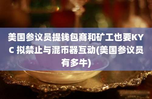 美国参议员提钱包商和矿工也要KYC 拟禁止与混币器互动(美国参议员有多牛)