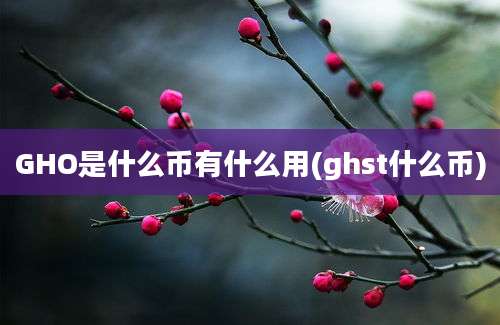 GHO是什么币有什么用(ghst什么币)