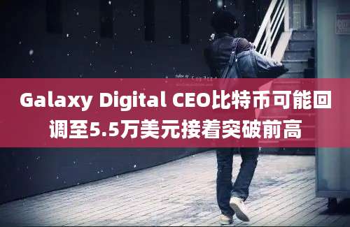 Galaxy Digital CEO比特币可能回调至5.5万美元接着突破前高