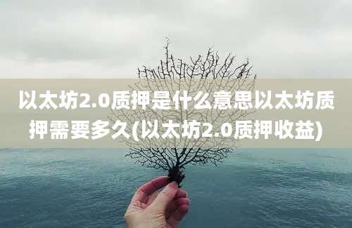 以太坊2.0质押是什么意思以太坊质押需要多久(以太坊2.0质押收益)