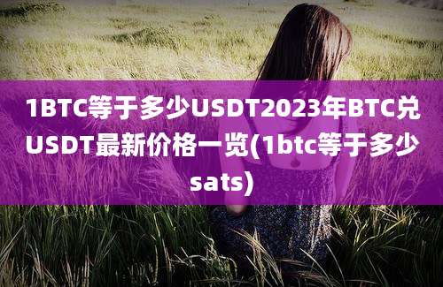 1BTC等于多少USDT2023年BTC兑USDT最新价格一览(1btc等于多少sats)