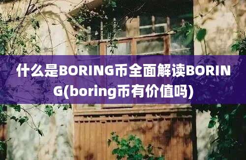 什么是BORING币全面解读BORING(boring币有价值吗)