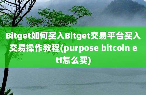 Bitget如何买入Bitget交易平台买入交易操作教程(purpose bitcoin etf怎么买)