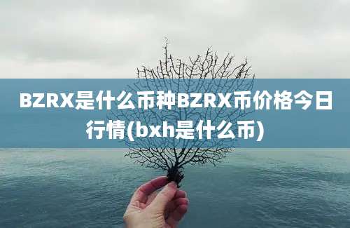 BZRX是什么币种BZRX币价格今日行情(bxh是什么币)