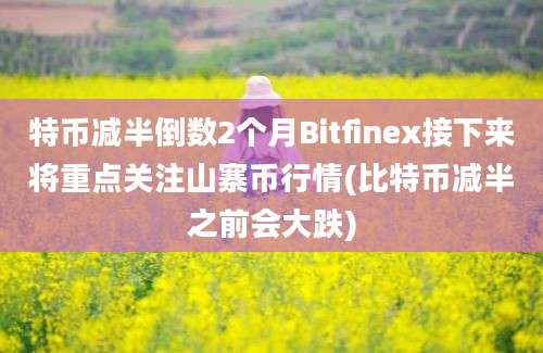 特币减半倒数2个月Bitfinex接下来将重点关注山寨币行情(比特币减半之前会大跌)