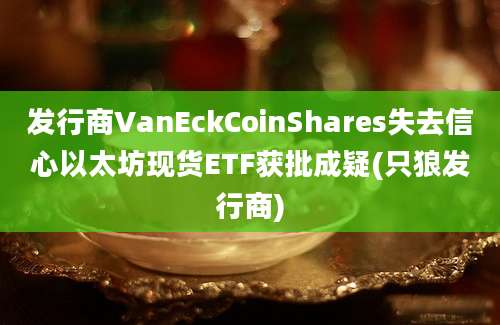 发行商VanEckCoinShares失去信心以太坊现货ETF获批成疑(只狼发行商)