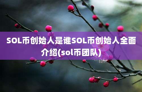 SOL币创始人是谁SOL币创始人全面介绍(sol币团队)