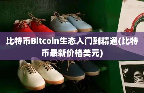 比特币Bitcoin生态入门到精通(比特币最新价格美元)