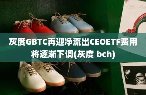 灰度GBTC再迎净流出CEOETF费用将逐渐下调(灰度 bch)