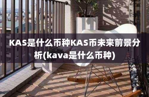 KAS是什么币种KAS币未来前景分析(kava是什么币种)