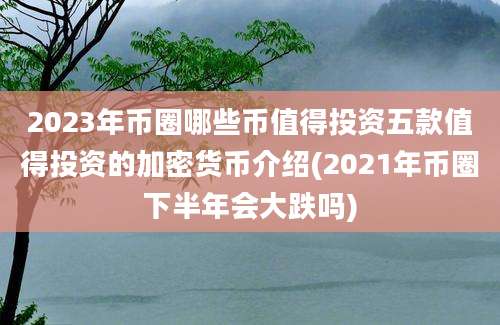 2023年币圈哪些币值得投资五款值得投资的加密货币介绍(2021年币圈下半年会大跌吗)