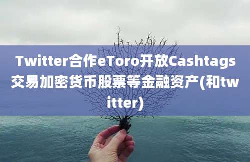 Twitter合作eToro开放Cashtags交易加密货币股票等金融资产(和twitter)