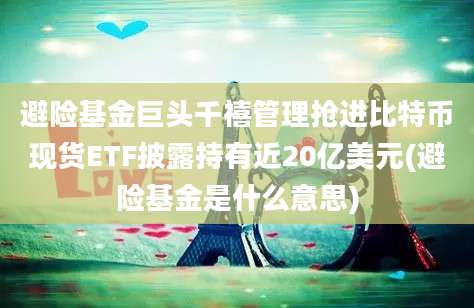 避险基金巨头千禧管理抢进比特币现货ETF披露持有近20亿美元(避险基金是什么意思)