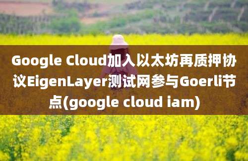 Google Cloud加入以太坊再质押协议EigenLayer测试网参与Goerli节点(google cloud iam)