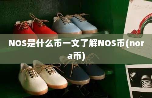 NOS是什么币一文了解NOS币(nora币)