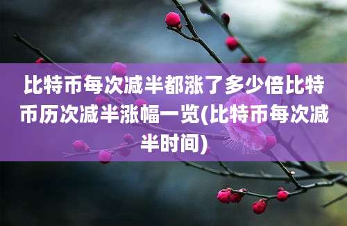 比特币每次减半都涨了多少倍比特币历次减半涨幅一览(比特币每次减半时间)