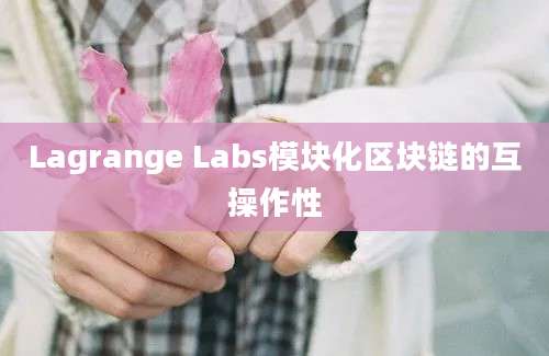 Lagrange Labs模块化区块链的互操作性