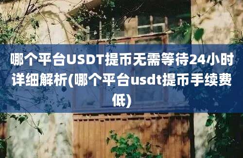 哪个平台USDT提币无需等待24小时详细解析(哪个平台usdt提币手续费低)