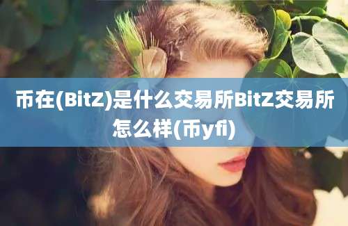 币在(BitZ)是什么交易所BitZ交易所怎么样(币yfi)