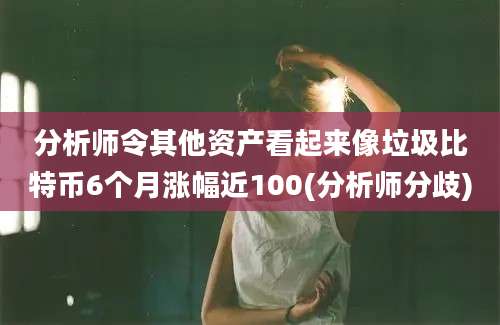 分析师令其他资产看起来像垃圾比特币6个月涨幅近100(分析师分歧)