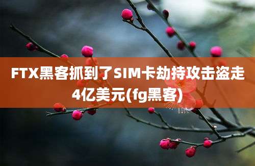 FTX黑客抓到了SIM卡劫持攻击盗走4亿美元(fg黑客)