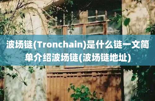 波场链(Tronchain)是什么链一文简单介绍波场链(波场链地址)