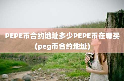 PEPE币合约地址多少PEPE币在哪买(peg币合约地址)