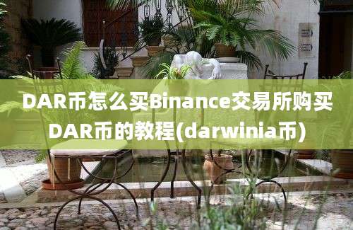 DAR币怎么买Binance交易所购买DAR币的教程(darwinia币)