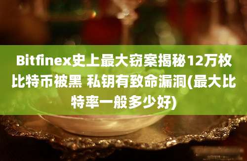 Bitfinex史上最大窃案揭秘12万枚比特币被黑 私钥有致命漏洞(最大比特率一般多少好)