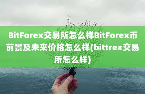 BitForex交易所怎么样BitForex币前景及未来价格怎么样(bittrex交易所怎么样)