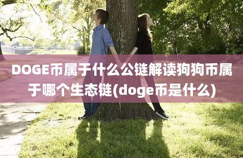 DOGE币属于什么公链解读狗狗币属于哪个生态链(doge币是什么)