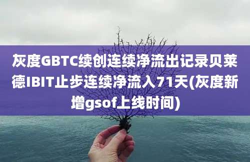 灰度GBTC续创连续净流出记录贝莱德IBIT止步连续净流入71天(灰度新增gsof上线时间)