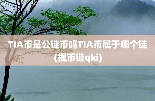 TIA币是公链币吗TIA币属于哪个链(提币链qki)