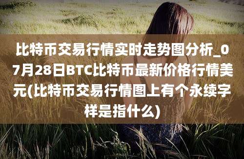 比特币交易行情实时走势图分析_07月28日BTC比特币最新价格行情美元(比特币交易行情图上有个永续字样是指什么)