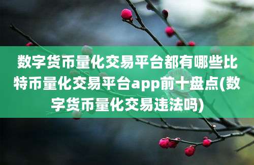 数字货币量化交易平台都有哪些比特币量化交易平台app前十盘点(数字货币量化交易违法吗)