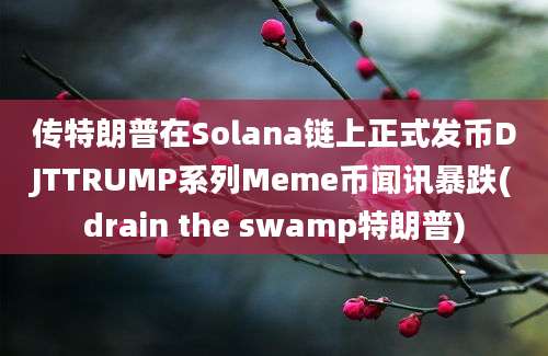 传特朗普在Solana链上正式发币DJTTRUMP系列Meme币闻讯暴跌(drain the swamp特朗普)