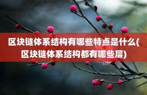 区块链体系结构有哪些特点是什么(区块链体系结构都有哪些层)