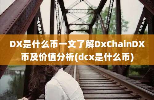 DX是什么币一文了解DxChainDX币及价值分析(dcx是什么币)